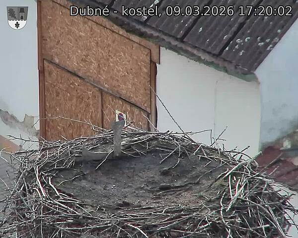 Capi_Dubne_20260309_172002.jpg (1350&nbsp;x&nbsp;1080)