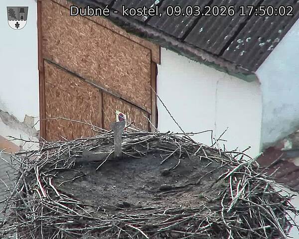 Capi_Dubne_20260309_175002.jpg (1350&nbsp;x&nbsp;1080)