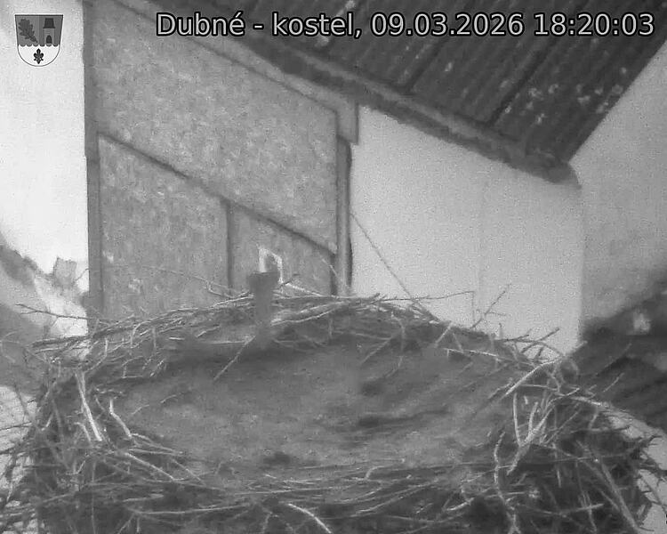 Capi_Dubne_20260309_182003.jpg (1350&nbsp;x&nbsp;1080)