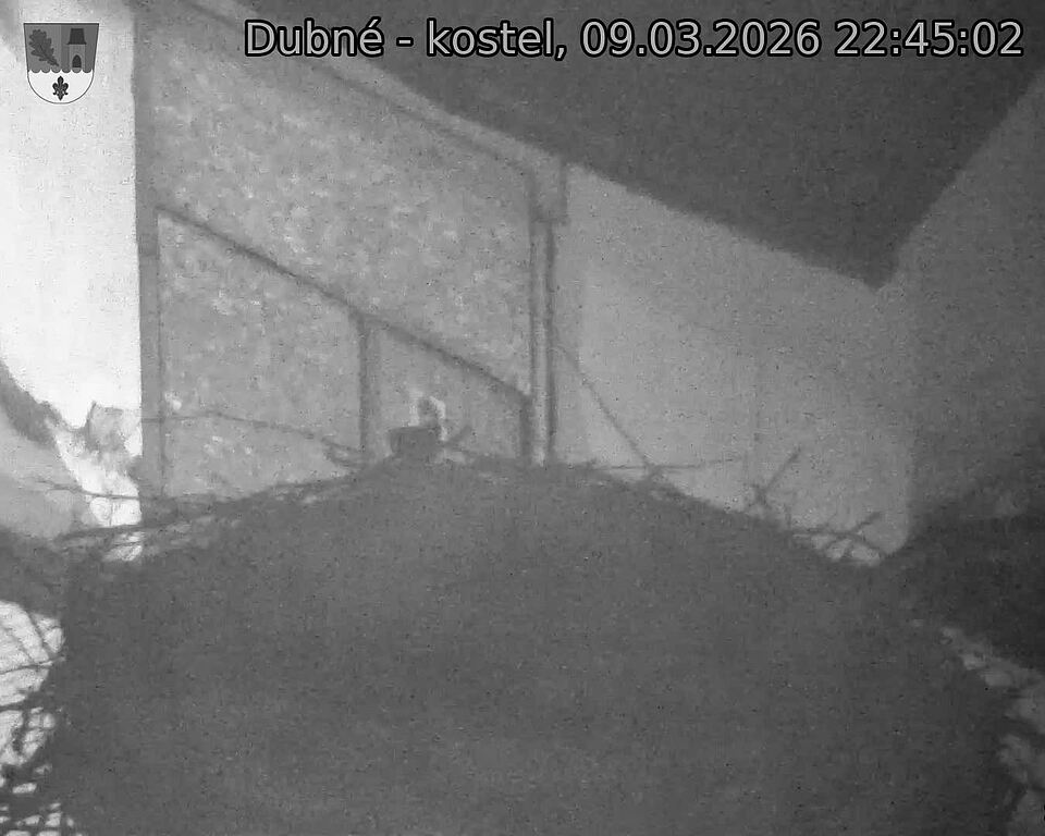 Capi_Dubne_20260309_224502.jpg (1350&nbsp;x&nbsp;1080)