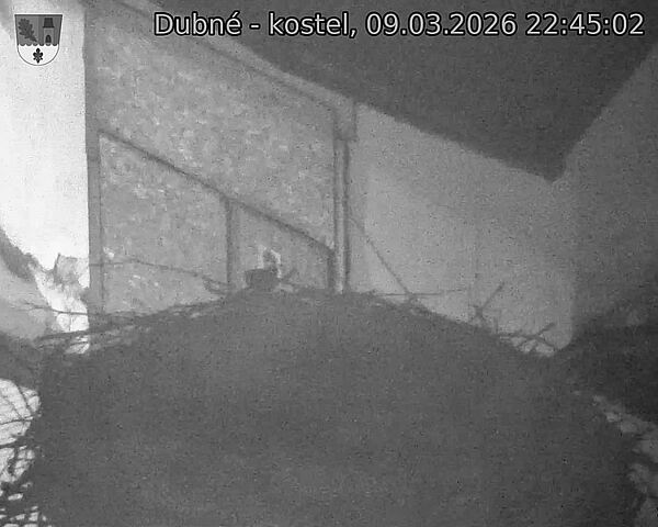 Capi_Dubne_20260309_224502.jpg (1350&nbsp;x&nbsp;1080)
