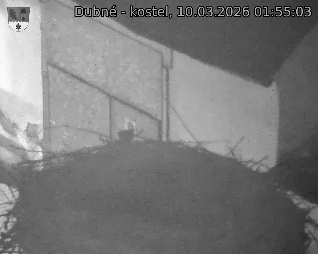 Capi_Dubne_20260310_015503.jpg (1350&nbsp;x&nbsp;1080)
