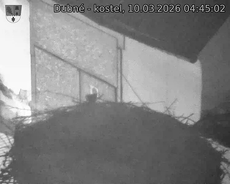 Capi_Dubne_20260310_044502.jpg (1350&nbsp;x&nbsp;1080)