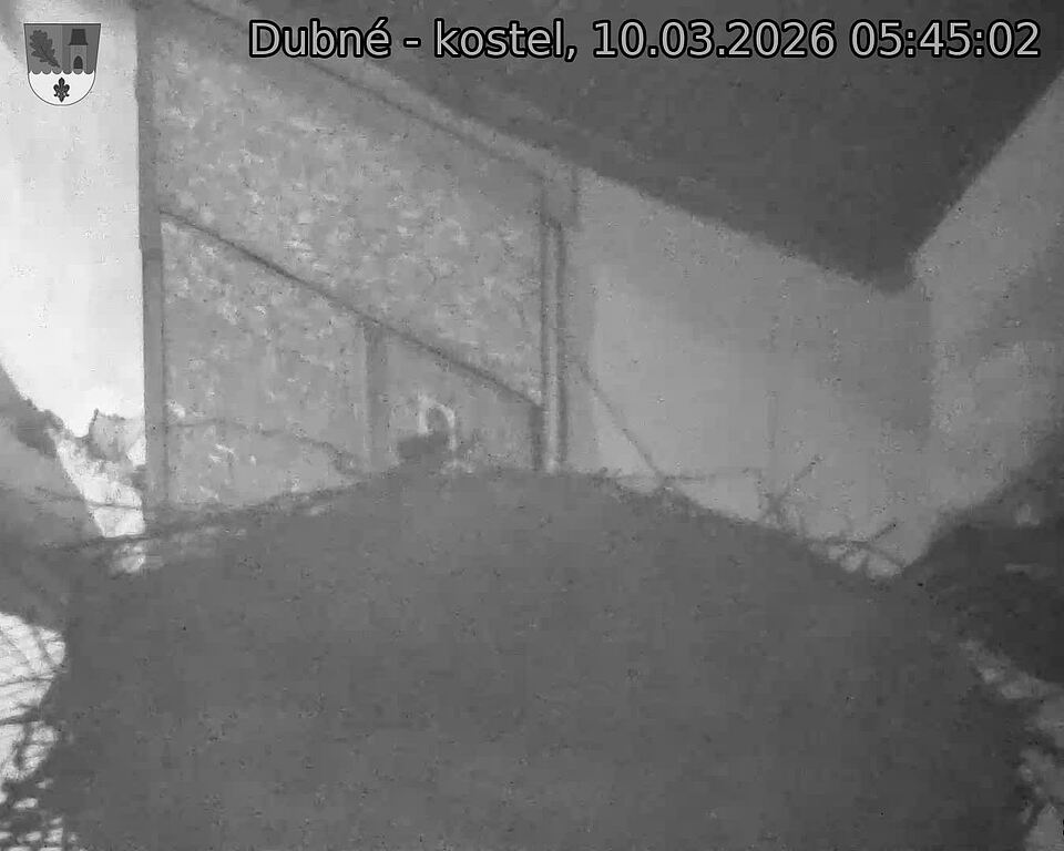 Capi_Dubne_20260310_054502.jpg (1350&nbsp;x&nbsp;1080)