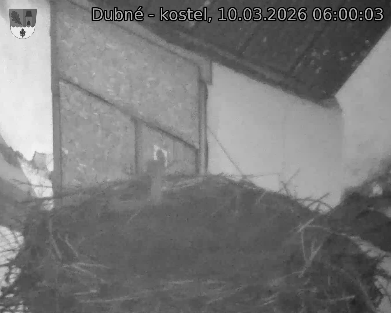 Capi_Dubne_20260310_060003.jpg (1350&nbsp;x&nbsp;1080)