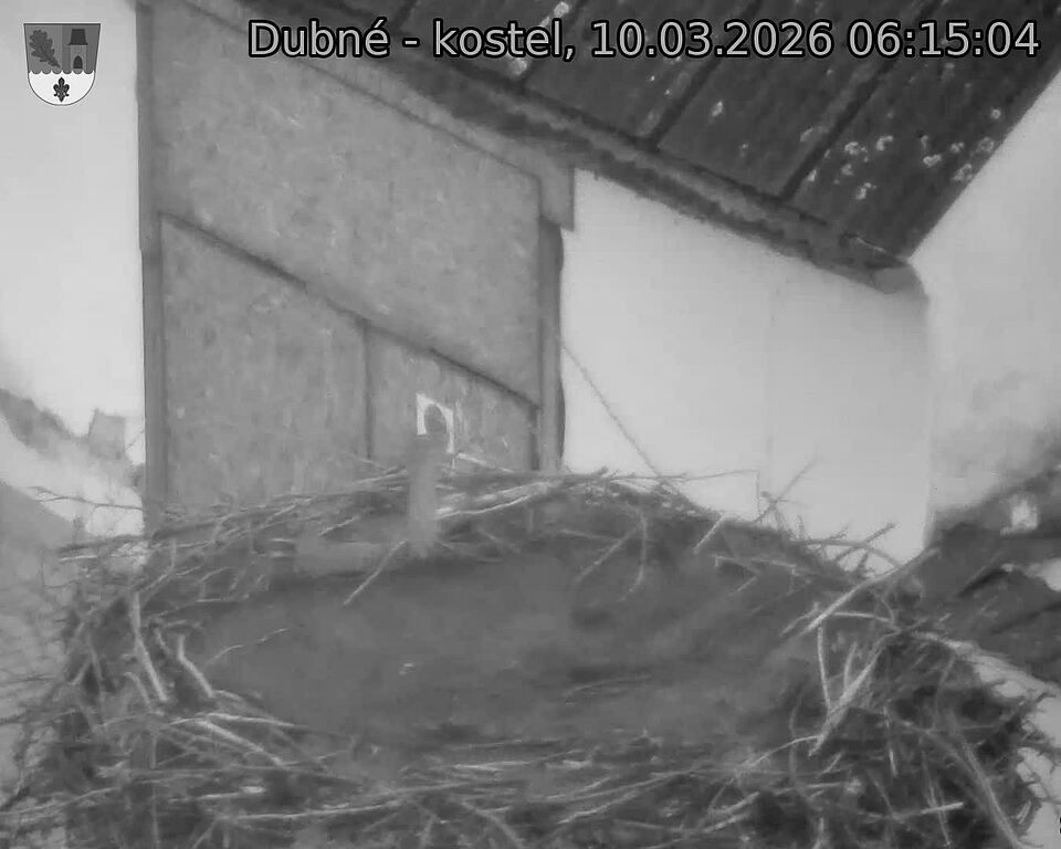 Capi_Dubne_20260310_061504.jpg (1350&nbsp;x&nbsp;1080)
