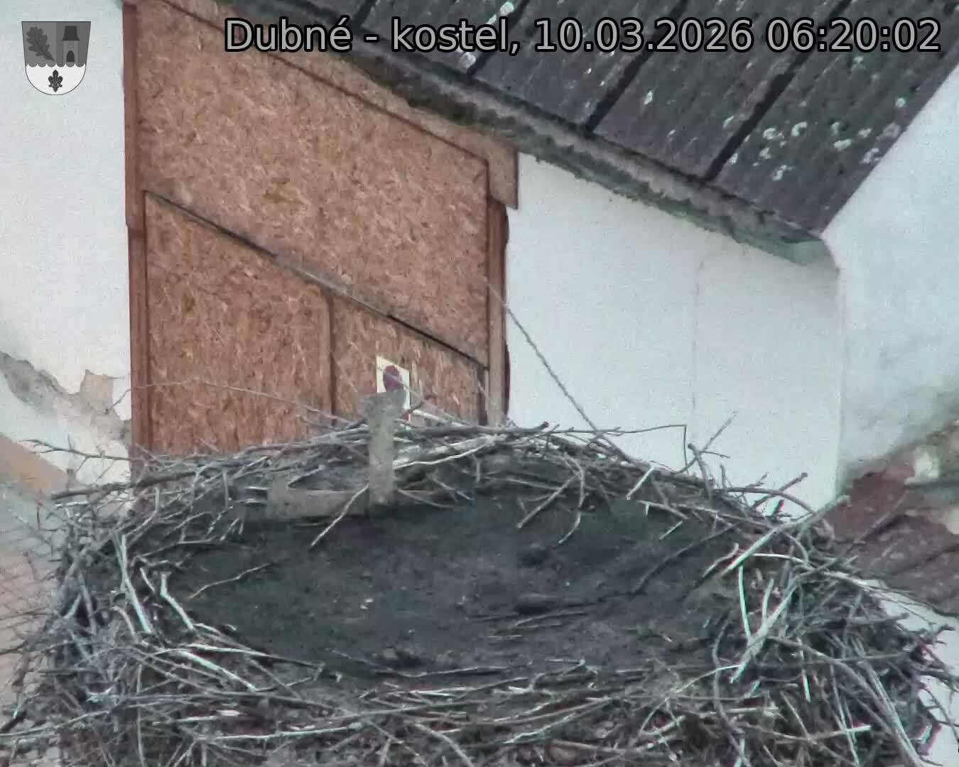 Capi_Dubne_20260310_062002.jpg (1350&nbsp;x&nbsp;1080)