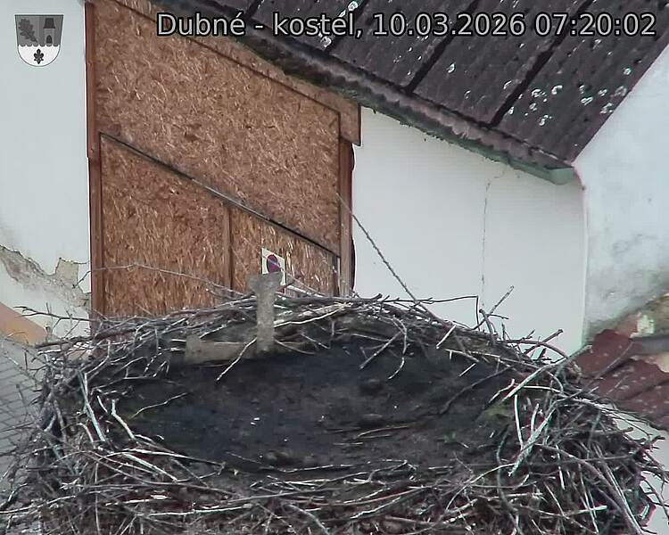 Capi_Dubne_20260310_072002.jpg (1350&nbsp;x&nbsp;1080)