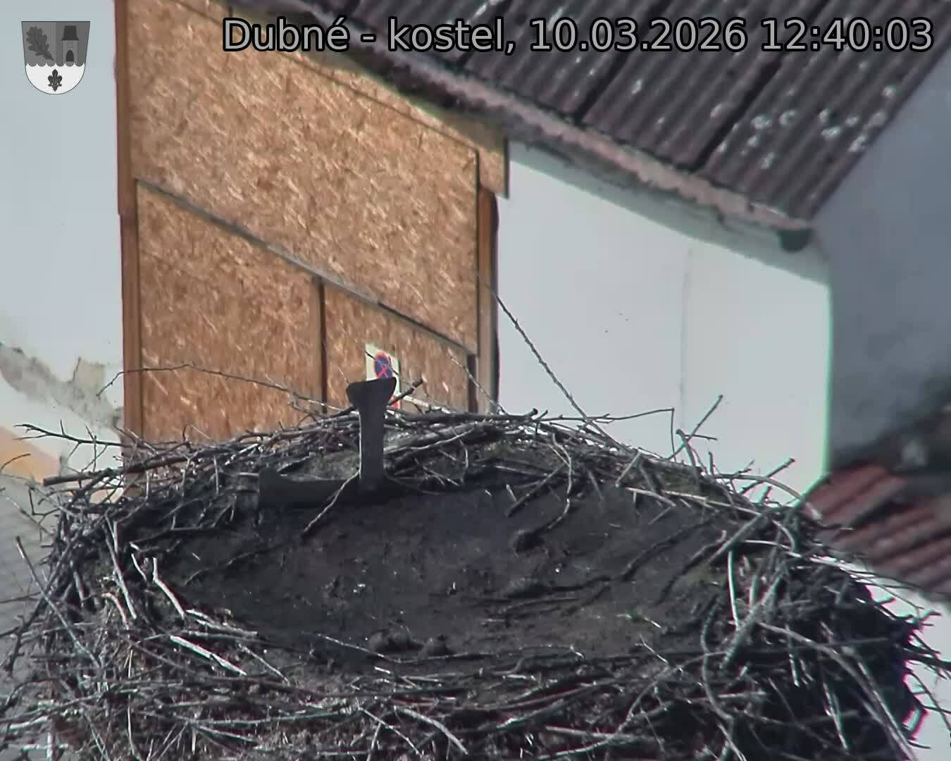 Capi_Dubne_20260310_124003.jpg (1350&nbsp;x&nbsp;1080)