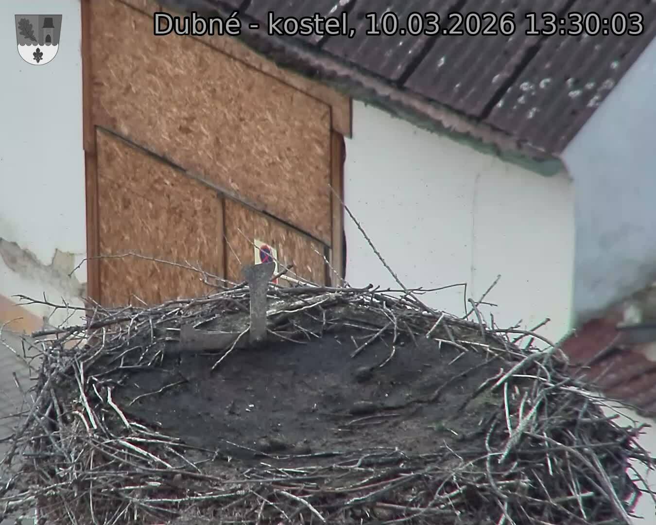 Capi_Dubne_20260310_133003.jpg (1350&nbsp;x&nbsp;1080)