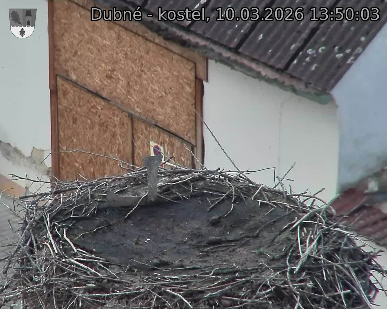 Capi_Dubne_20260310_135003.jpg (1350&nbsp;x&nbsp;1080)