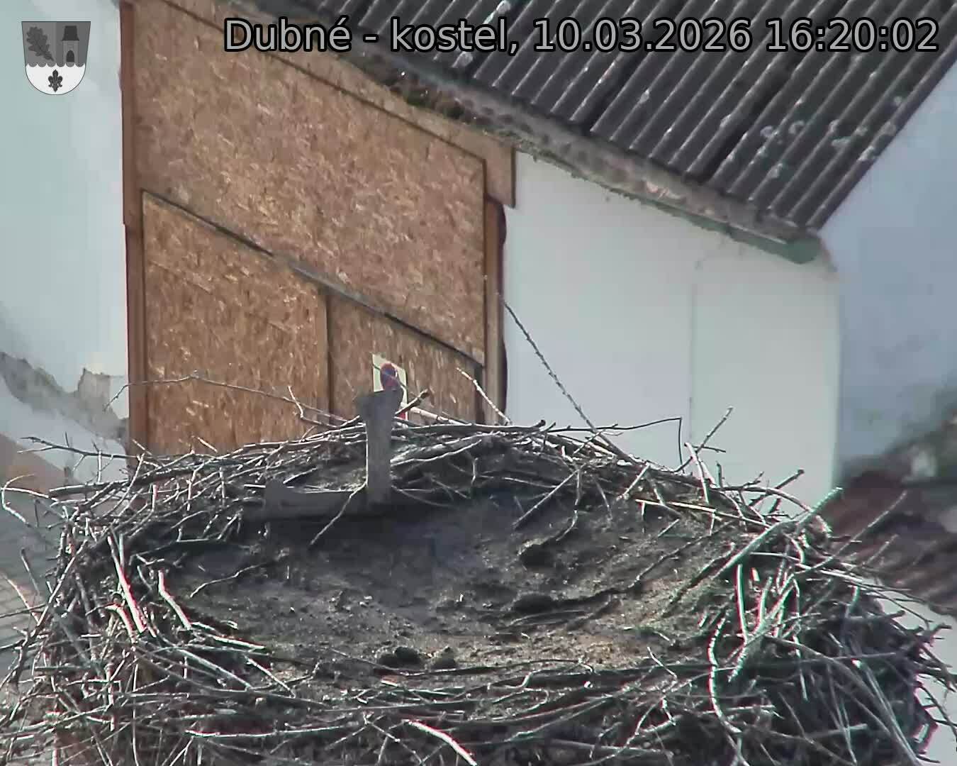 Capi_Dubne_20260310_162002.jpg (1350&nbsp;x&nbsp;1080)