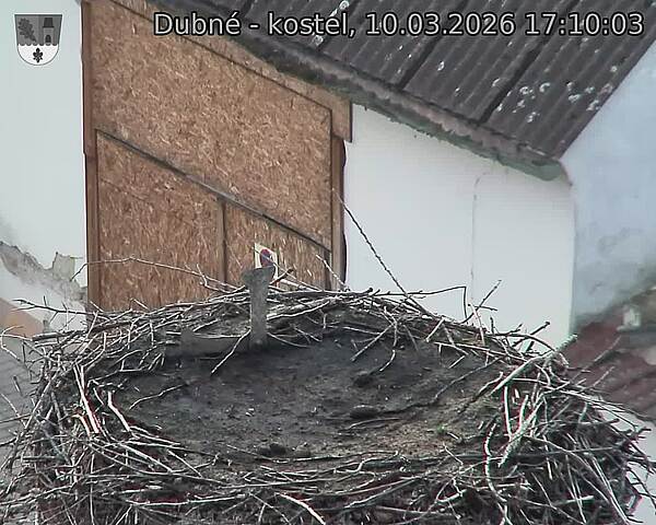 Capi_Dubne_20260310_171003.jpg (1350&nbsp;x&nbsp;1080)