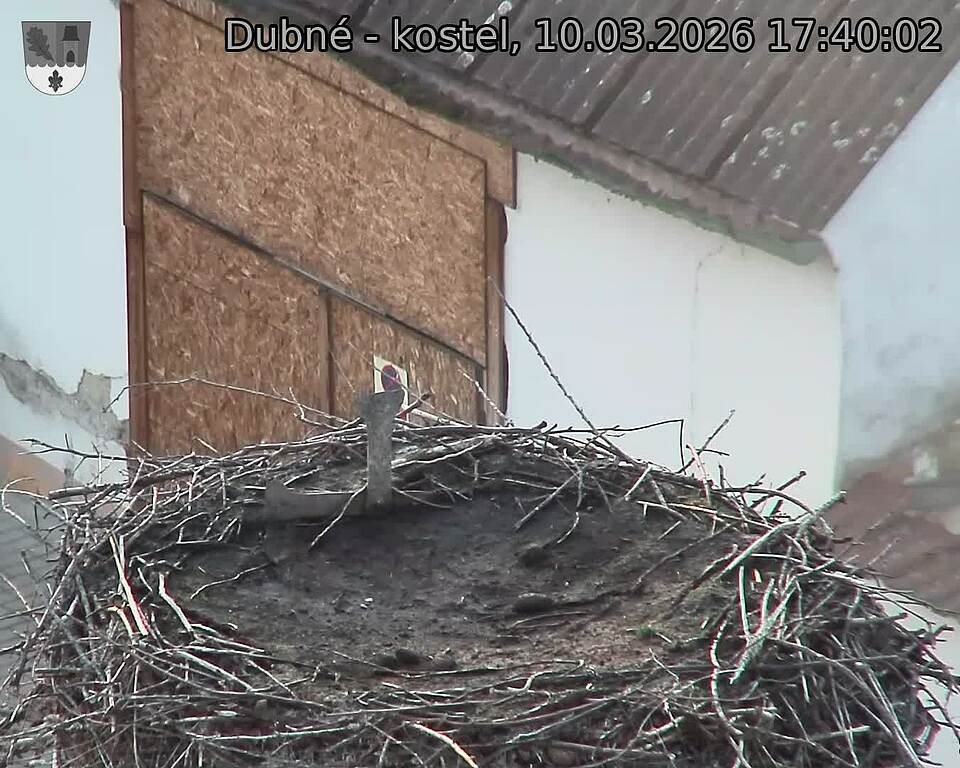 Capi_Dubne_20260310_174002.jpg (1350&nbsp;x&nbsp;1080)