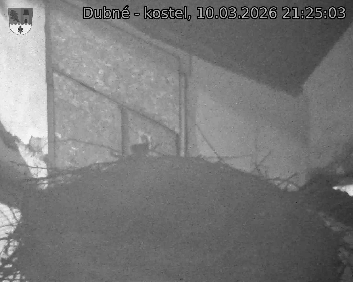 Capi_Dubne_20260310_212503.jpg (1350&nbsp;x&nbsp;1080)