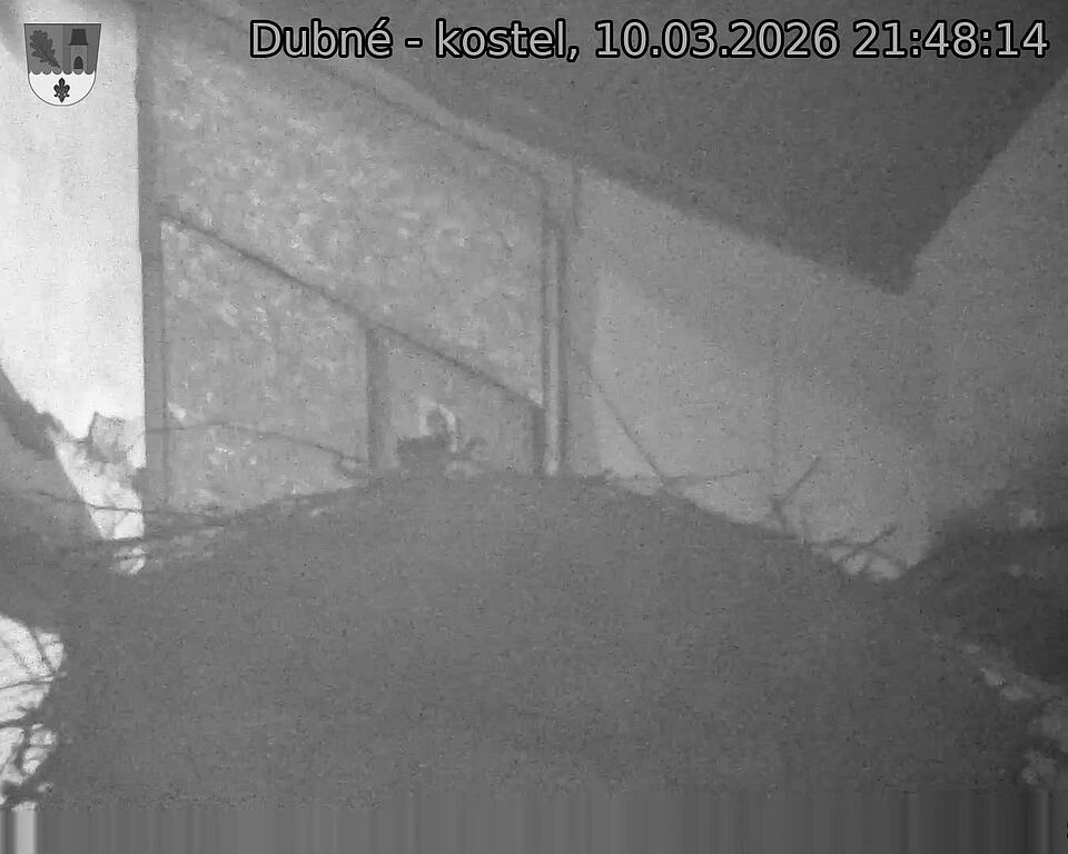 Capi_Dubne_20260310_214814.jpg (1350&nbsp;x&nbsp;1080)