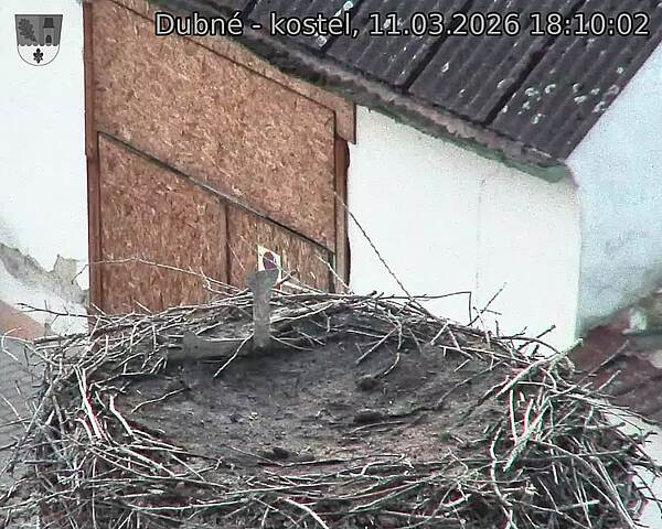 Capi_Dubne_20260311_181002.jpg (1350&nbsp;x&nbsp;1080)