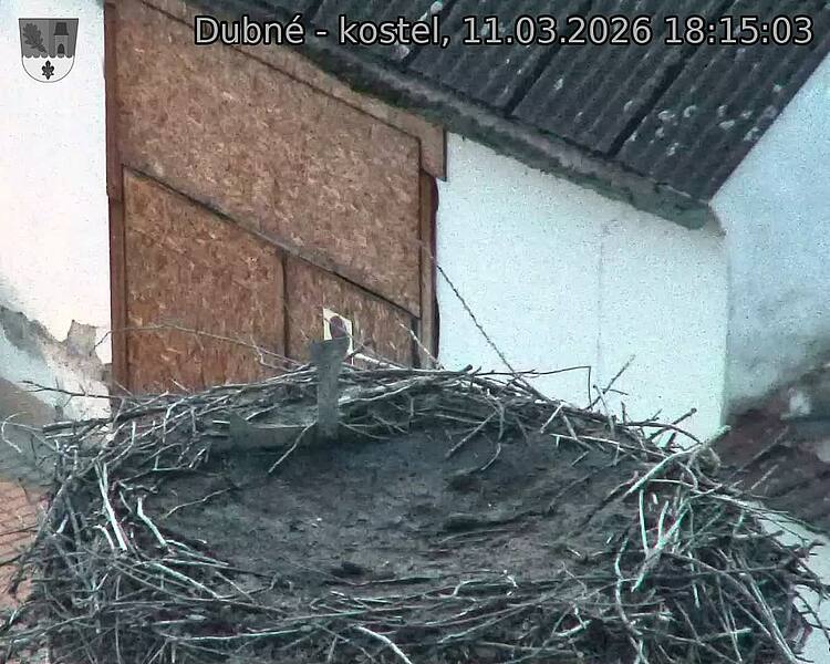 Capi_Dubne_20260311_181503.jpg (1350&nbsp;x&nbsp;1080)
