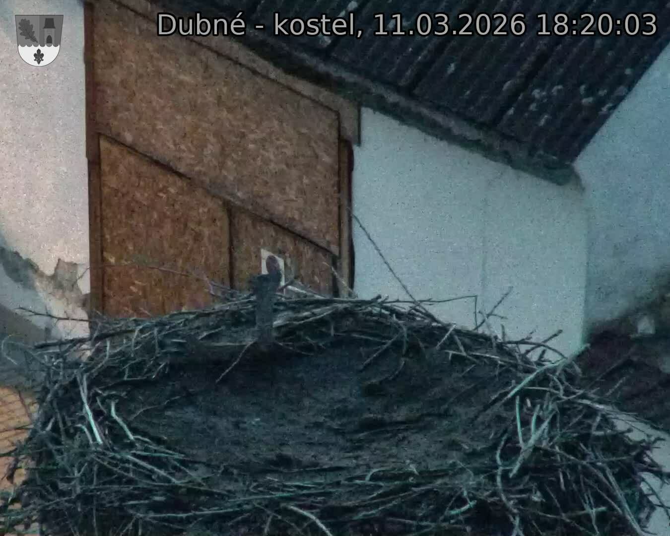 Capi_Dubne_20260311_182003.jpg (1350&nbsp;x&nbsp;1080)