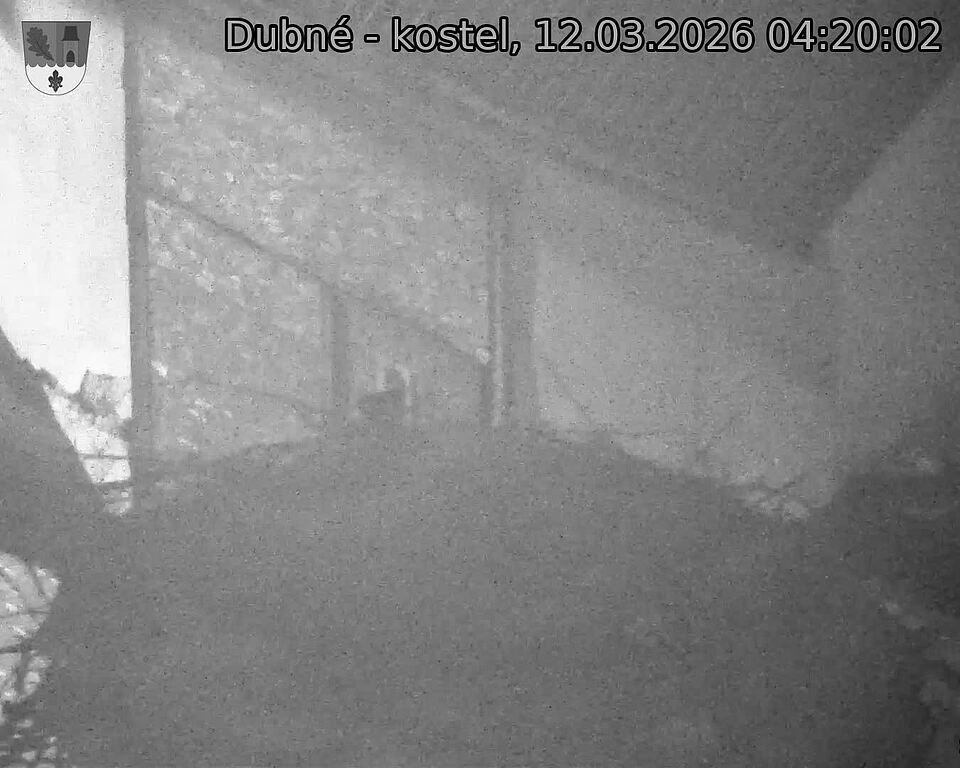 Capi_Dubne_20260312_042002.jpg (1350&nbsp;x&nbsp;1080)