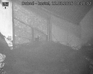 Capi_Dubne_20260312_042002.jpg (1350&nbsp;x&nbsp;1080)