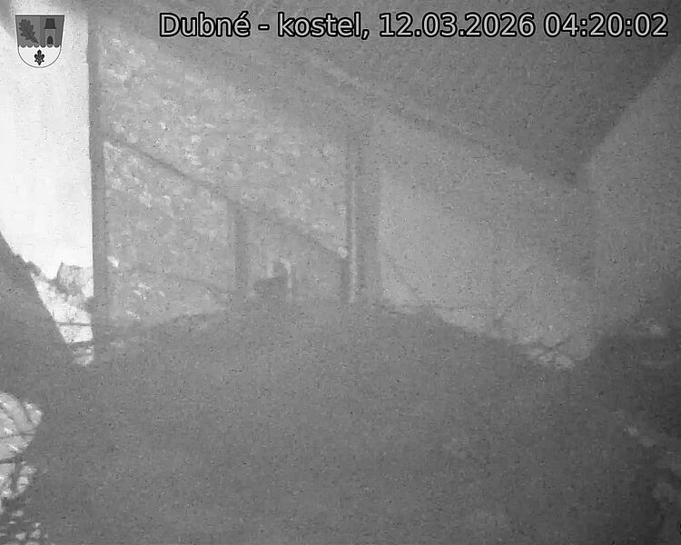 Capi_Dubne_20260312_042002.jpg (1350&nbsp;x&nbsp;1080)