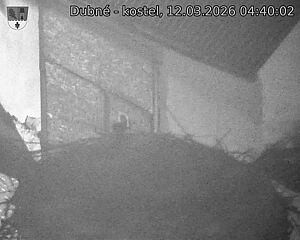 Capi_Dubne_20260312_044002.jpg (1350&nbsp;x&nbsp;1080)