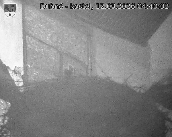 Capi_Dubne_20260312_044002.jpg (1350&nbsp;x&nbsp;1080)