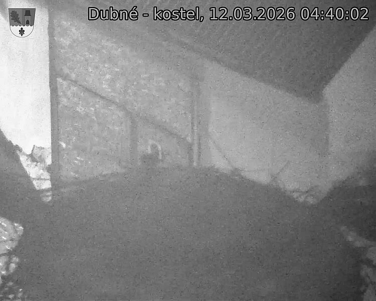 Capi_Dubne_20260312_044002.jpg (1350&nbsp;x&nbsp;1080)