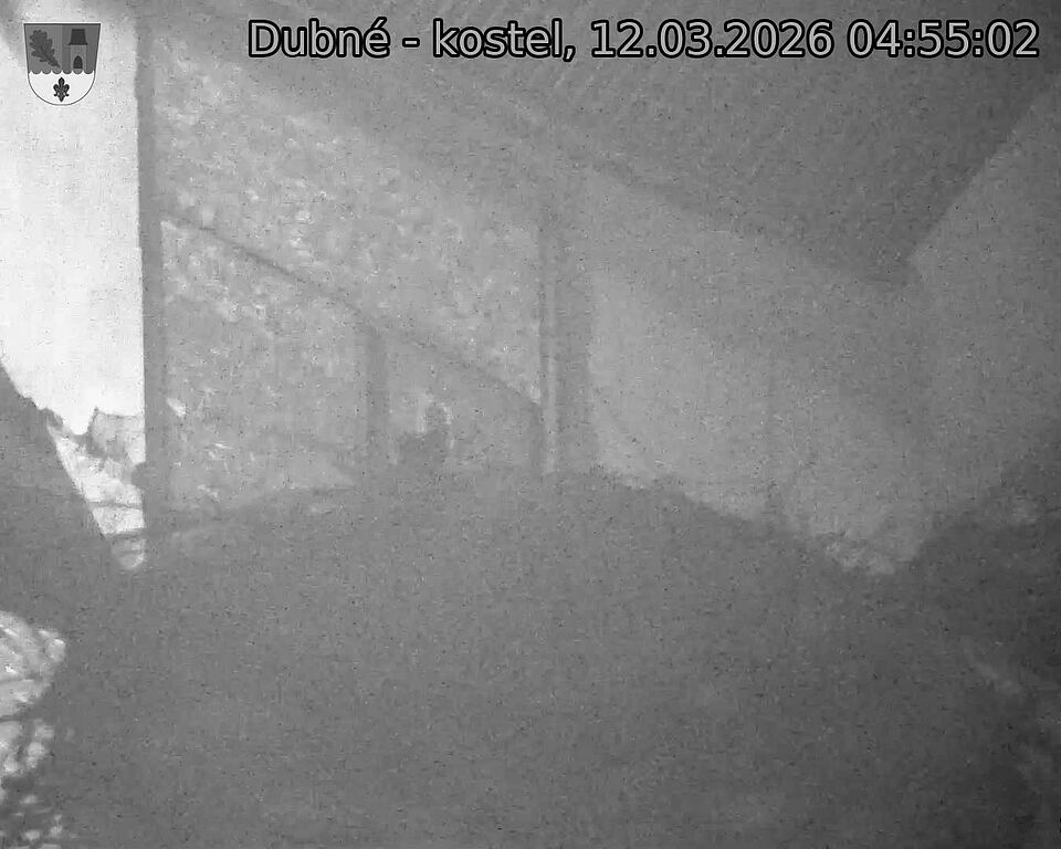 Capi_Dubne_20260312_045502.jpg (1350&nbsp;x&nbsp;1080)