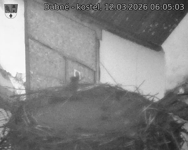 Capi_Dubne_20260312_060503.jpg (1350&nbsp;x&nbsp;1080)