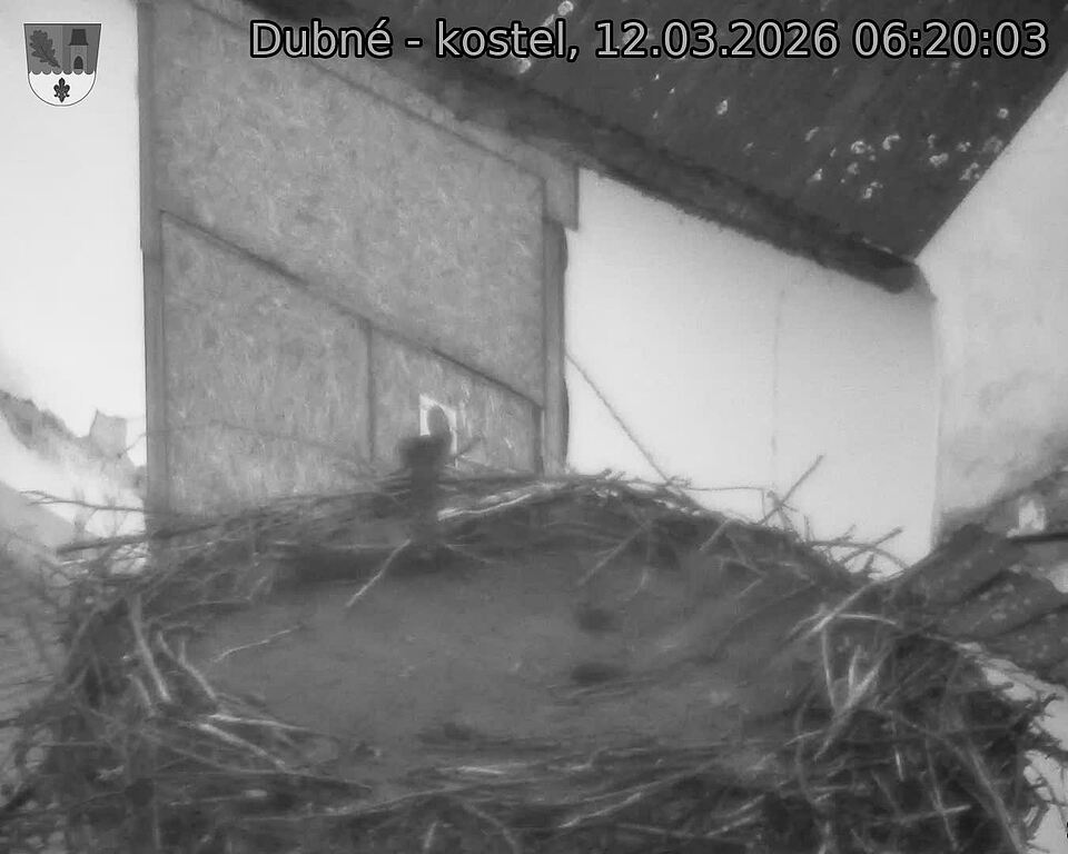 Capi_Dubne_20260312_062003.jpg (1350&nbsp;x&nbsp;1080)