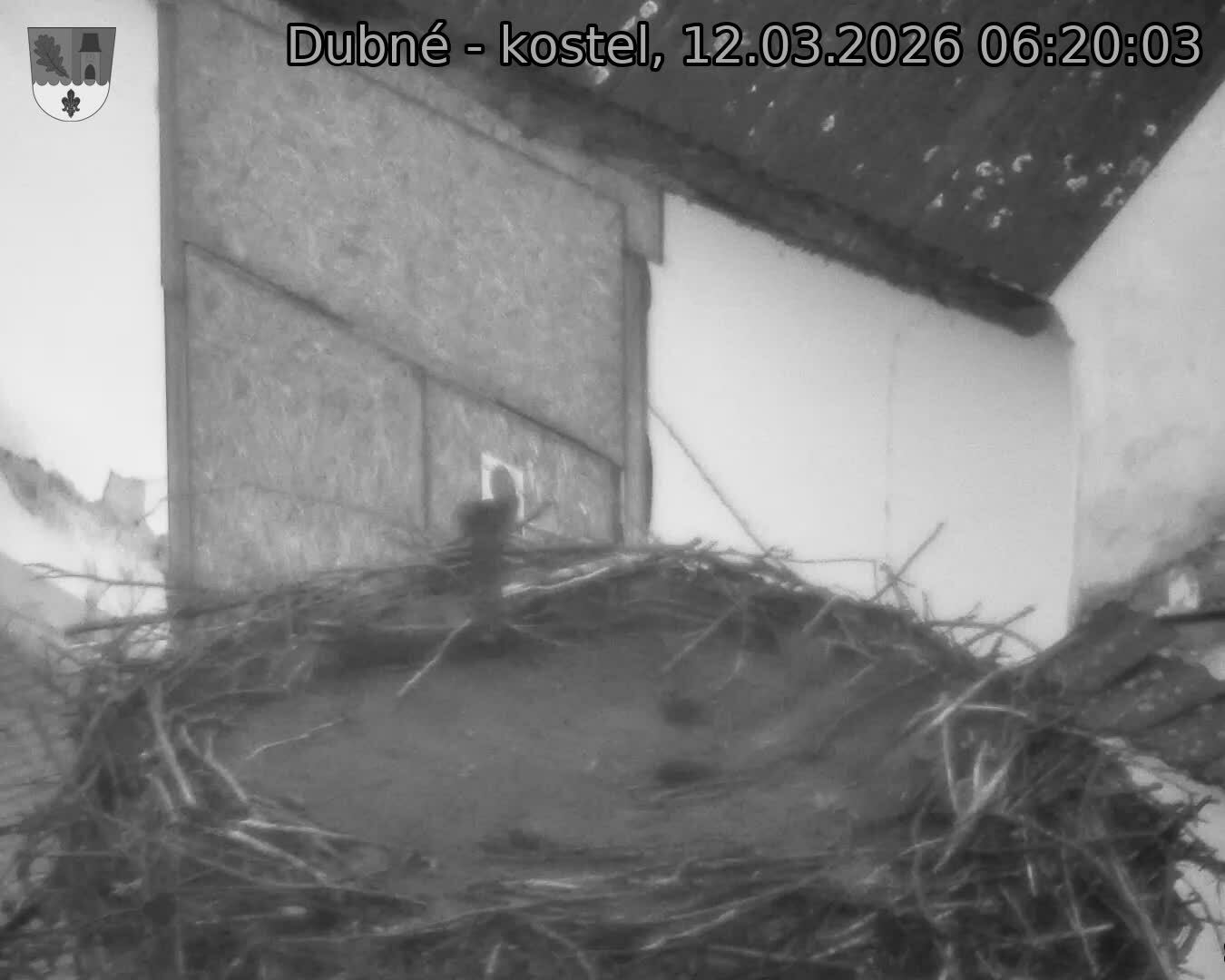 Capi_Dubne_20260312_062003.jpg (1350&nbsp;x&nbsp;1080)