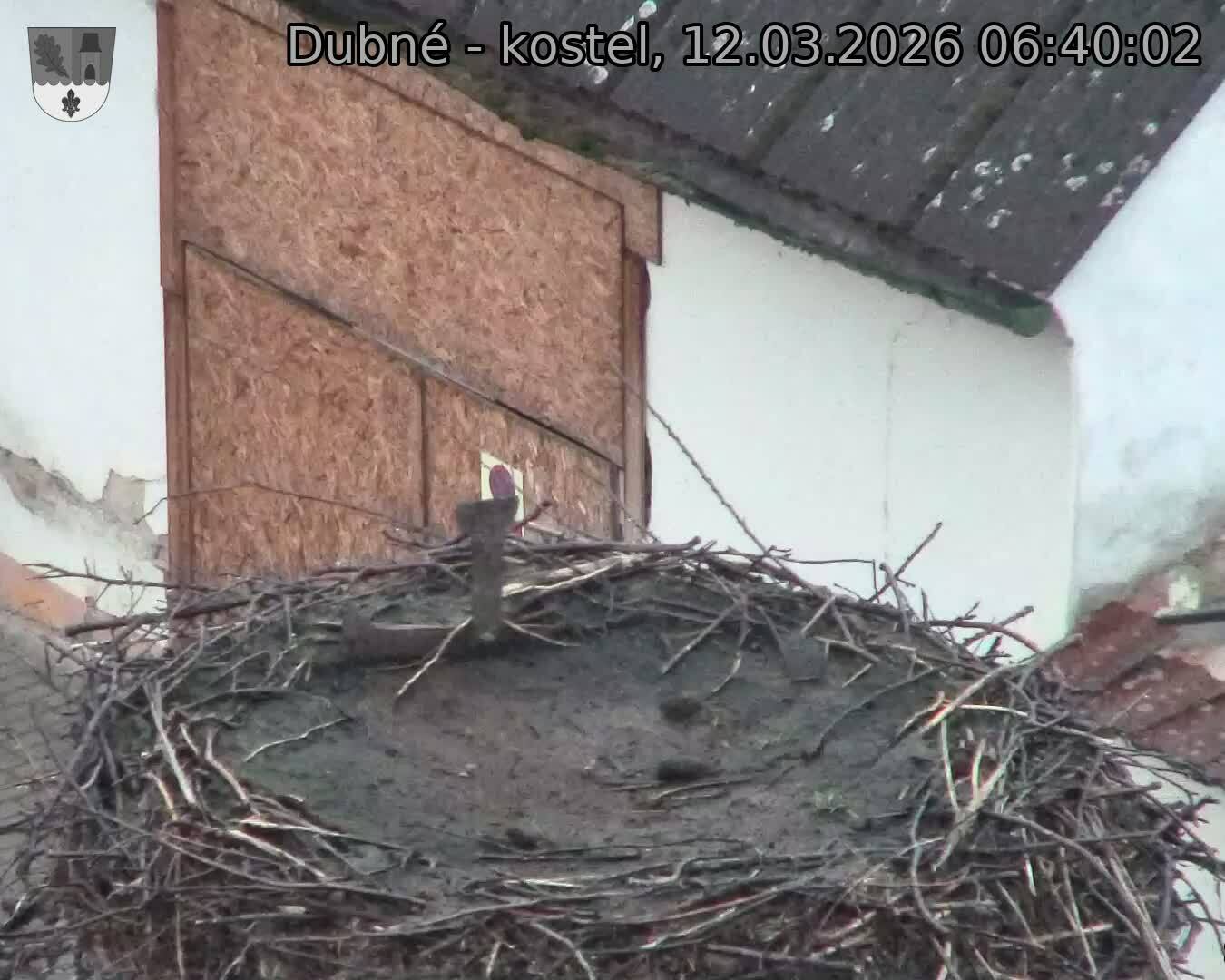 Capi_Dubne_20260312_064002.jpg (1350&nbsp;x&nbsp;1080)