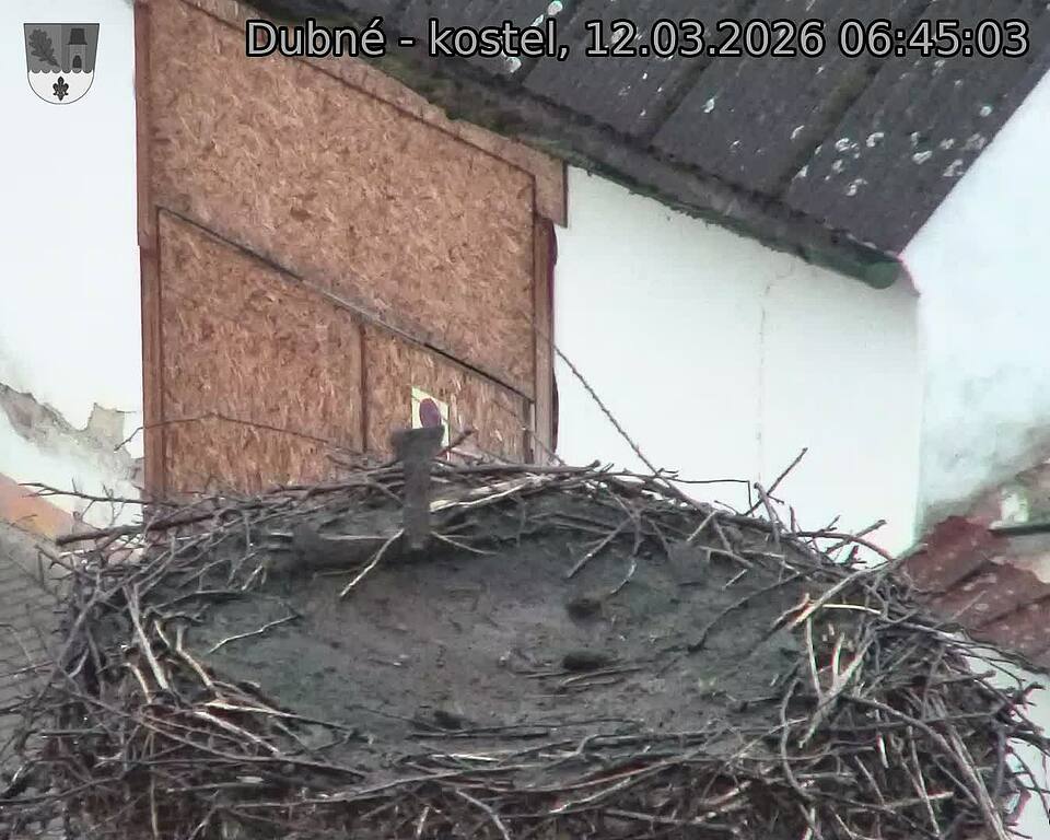Capi_Dubne_20260312_064503.jpg (1350&nbsp;x&nbsp;1080)