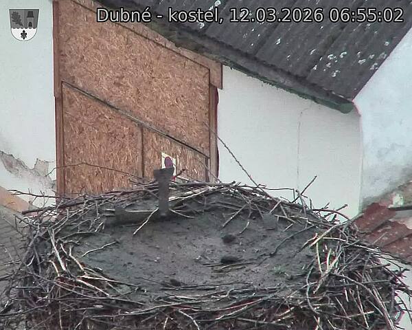 Capi_Dubne_20260312_065502.jpg (1350&nbsp;x&nbsp;1080)