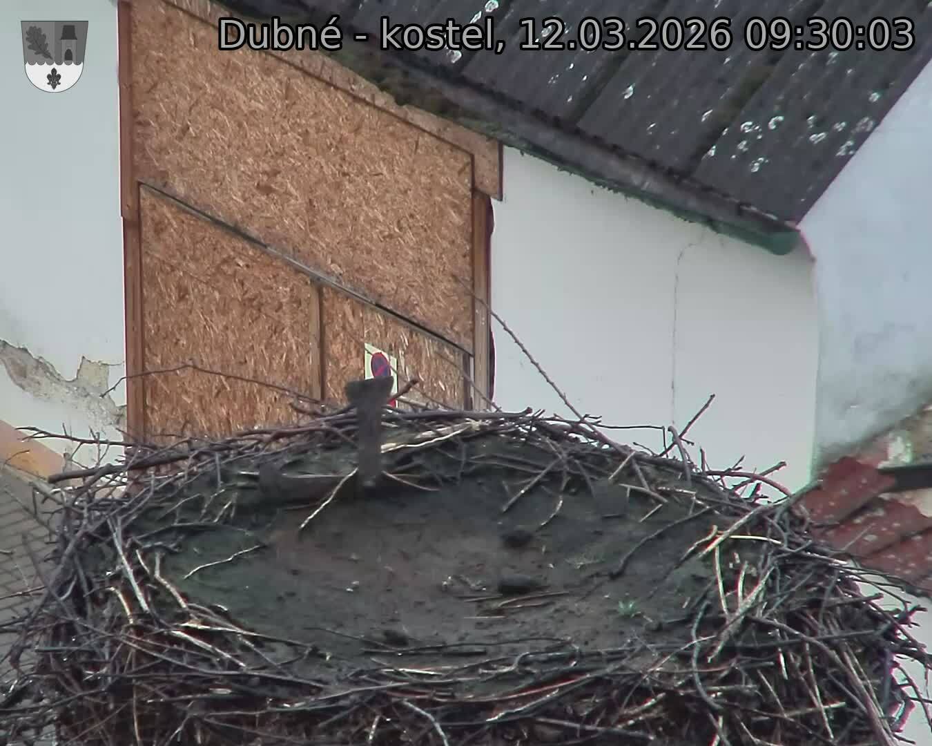 Capi_Dubne_20260312_093003.jpg (1350&nbsp;x&nbsp;1080)