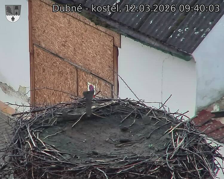Capi_Dubne_20260312_094003.jpg (1350&nbsp;x&nbsp;1080)