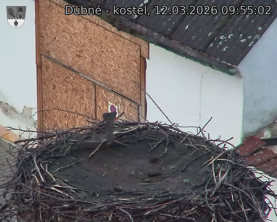 Capi_Dubne_20260312_095502.jpg (1350&nbsp;x&nbsp;1080)