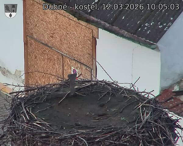Capi_Dubne_20260312_100503.jpg (1350&nbsp;x&nbsp;1080)