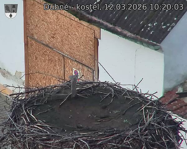Capi_Dubne_20260312_102003.jpg (1350&nbsp;x&nbsp;1080)