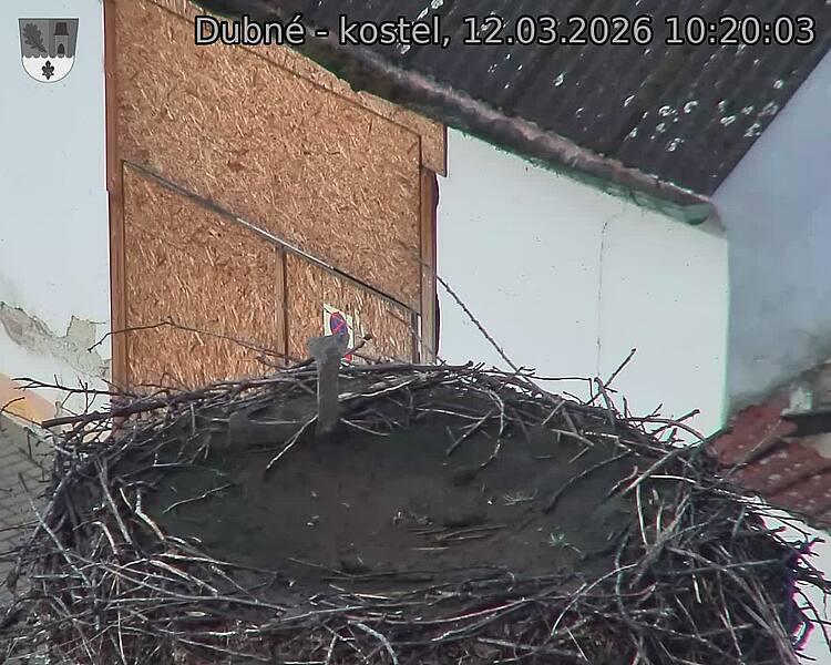 Capi_Dubne_20260312_102003.jpg (1350&nbsp;x&nbsp;1080)