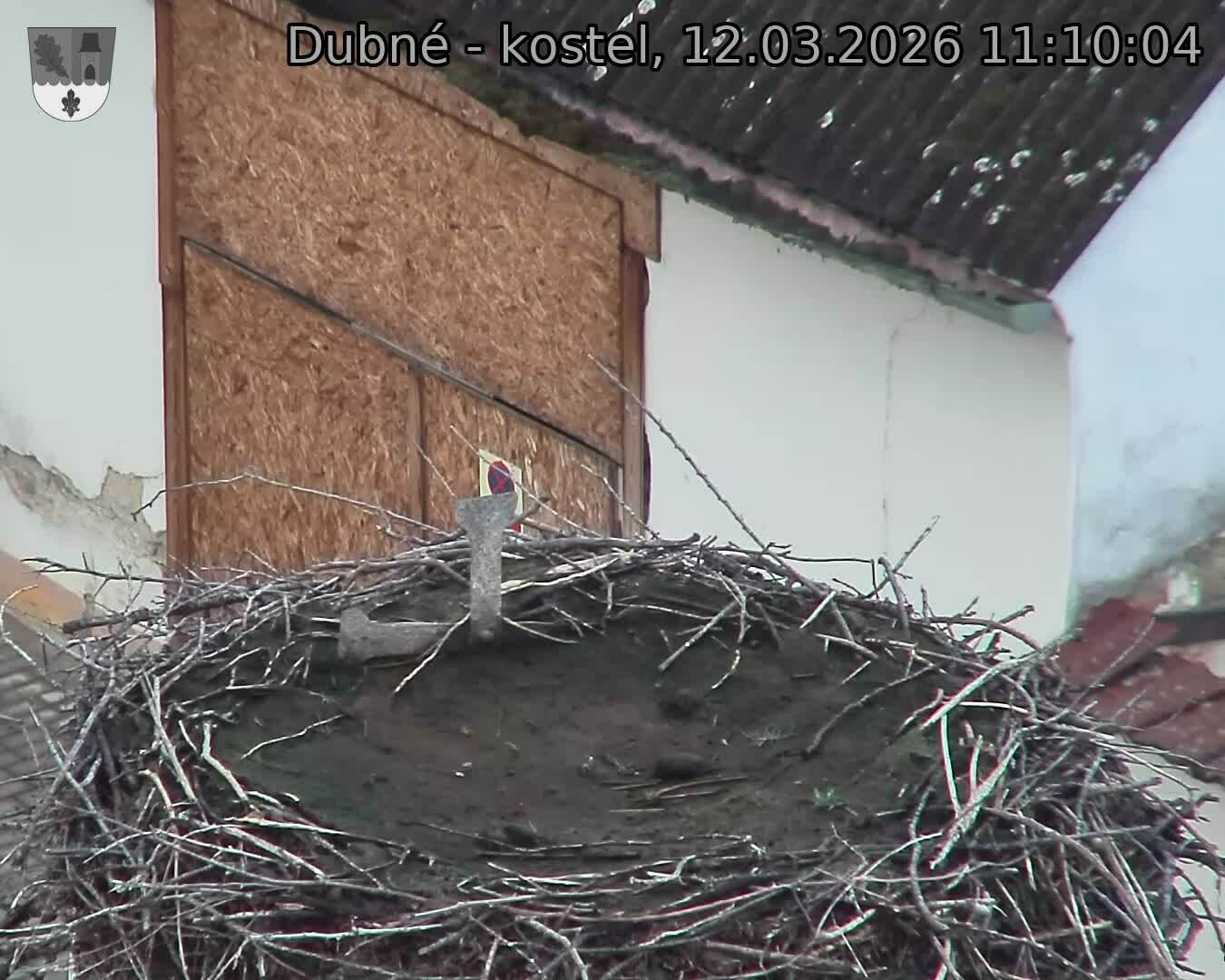 Capi_Dubne_20260312_111004.jpg (1350&nbsp;x&nbsp;1080)