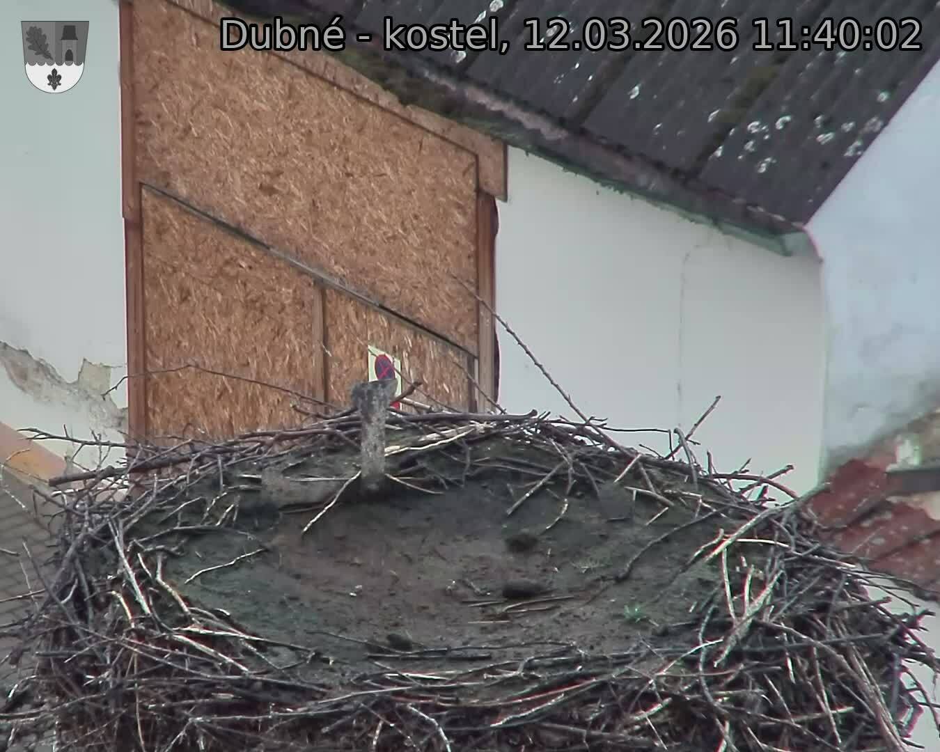 Capi_Dubne_20260312_114002.jpg (1350&nbsp;x&nbsp;1080)