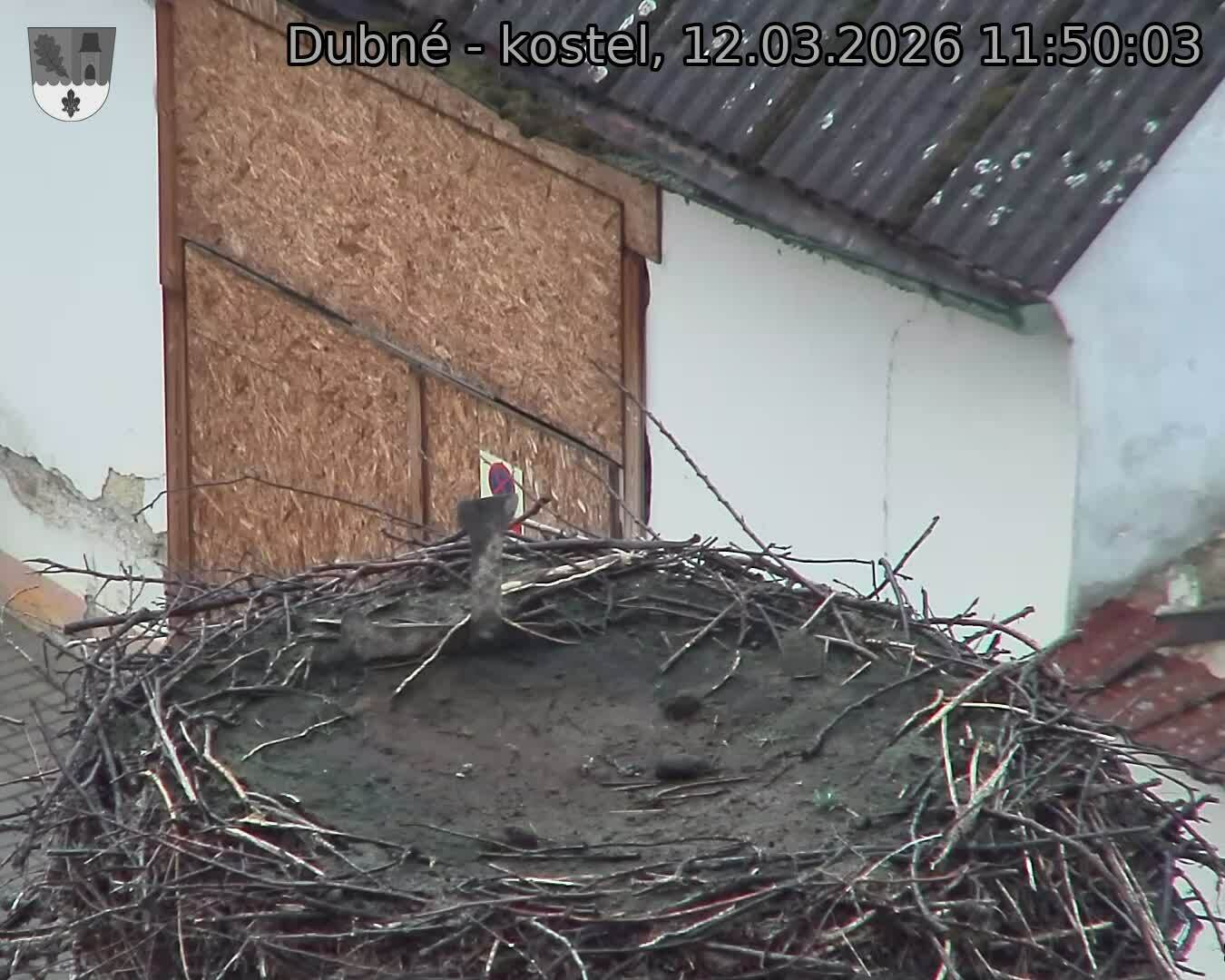 Capi_Dubne_20260312_115003.jpg (1350&nbsp;x&nbsp;1080)