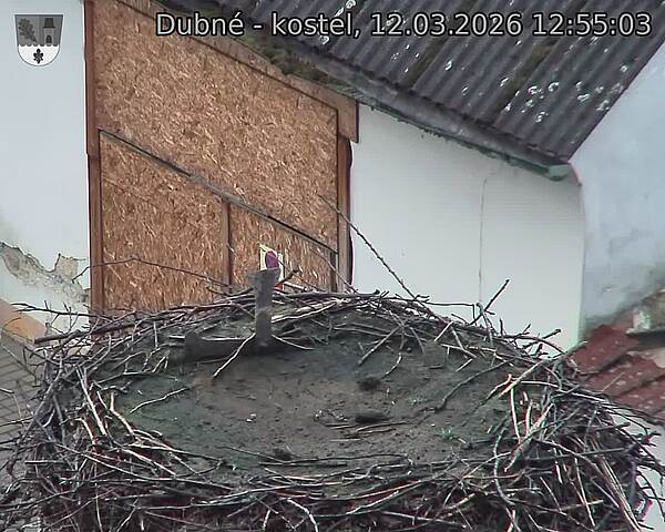 Capi_Dubne_20260312_125503.jpg (1350&nbsp;x&nbsp;1080)