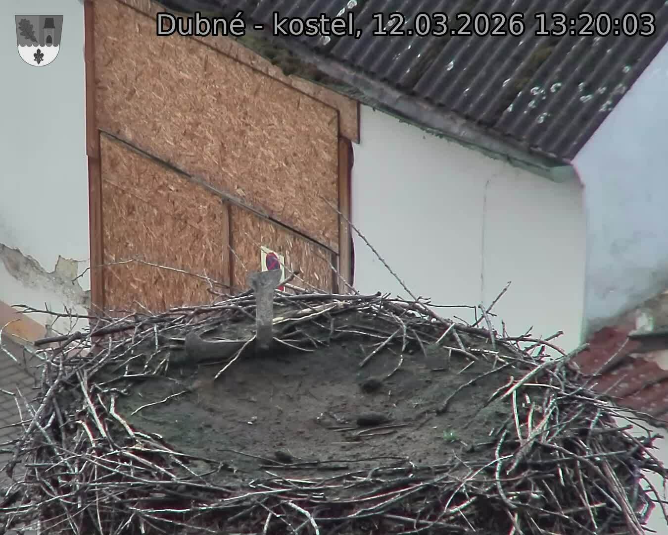 Capi_Dubne_20260312_132003.jpg (1350&nbsp;x&nbsp;1080)