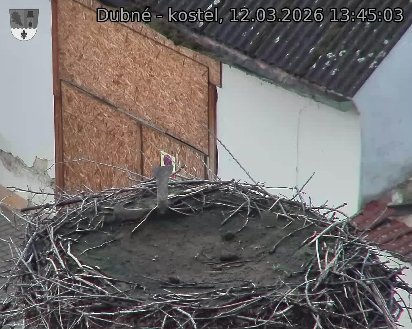 Capi_Dubne_20260312_134503.jpg (1350&nbsp;x&nbsp;1080)