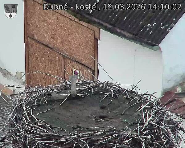 Capi_Dubne_20260312_141002.jpg (1350&nbsp;x&nbsp;1080)