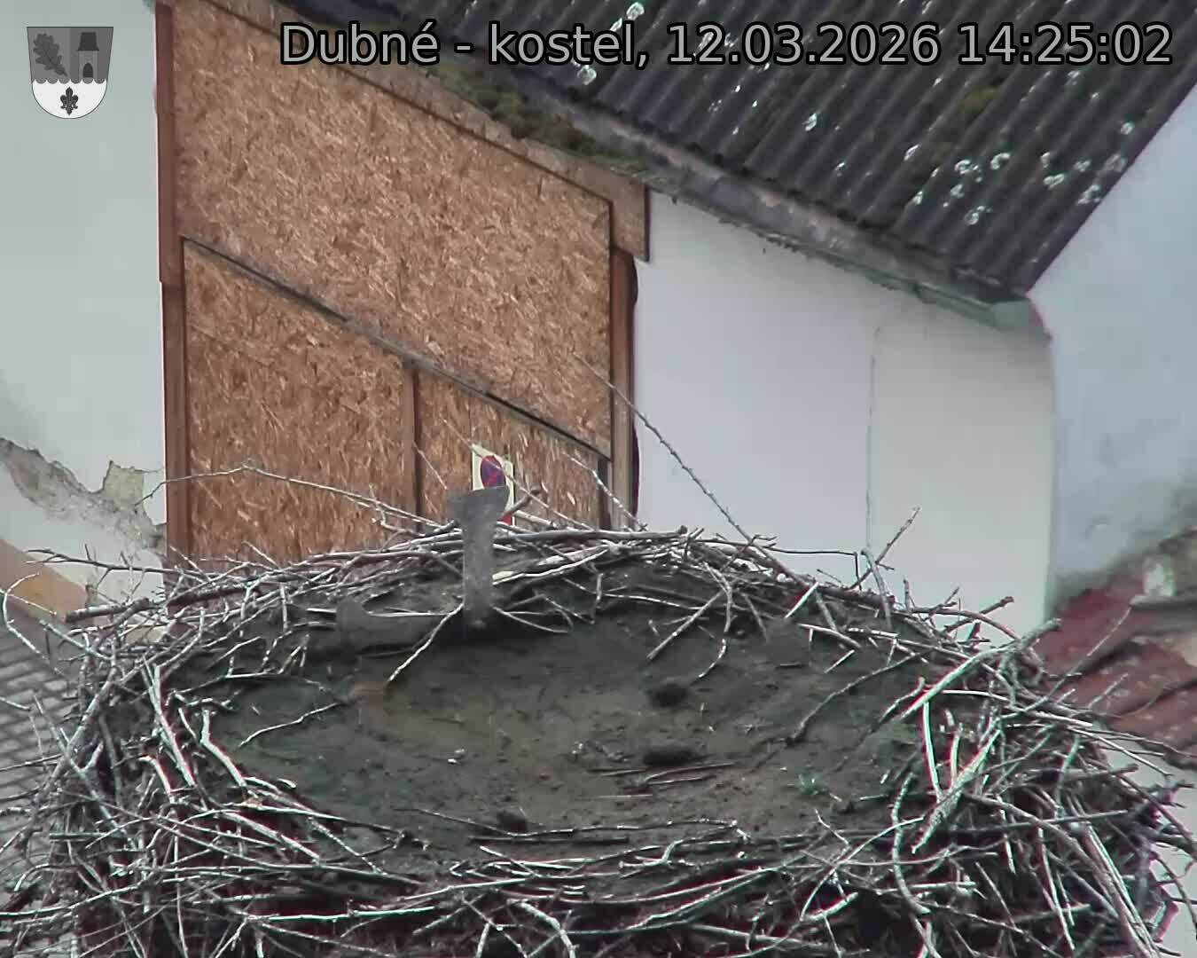 Capi_Dubne_20260312_142502.jpg (1350&nbsp;x&nbsp;1080)